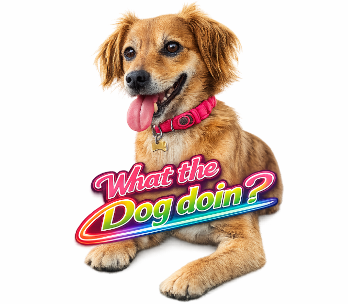 "WHAT THE DOG DOIN?" MOUSE MAT!